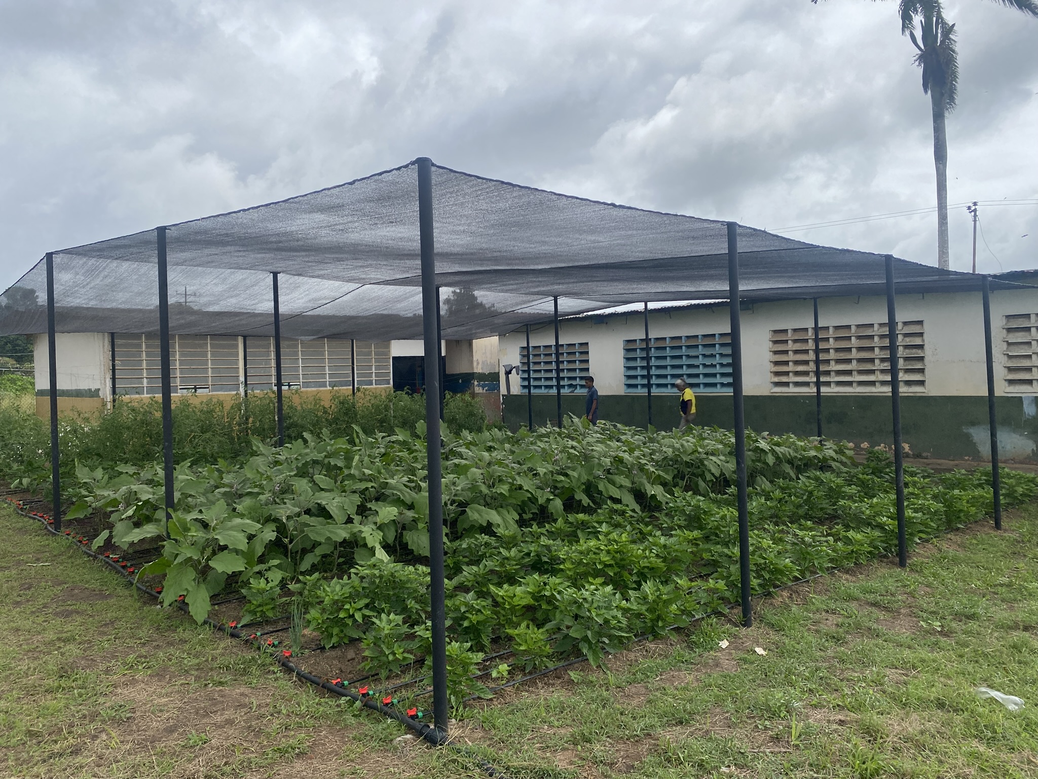Rehabilitación Escolar NRC